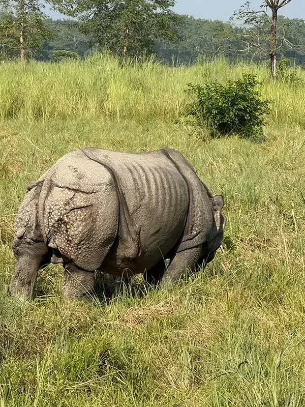 Chitwan