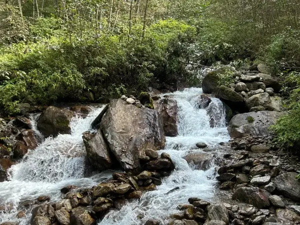 Spring Water In Langtang